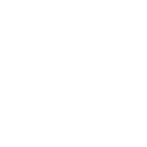 logo BRAINZ