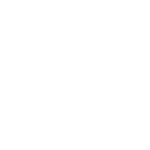 logo BRAINZ